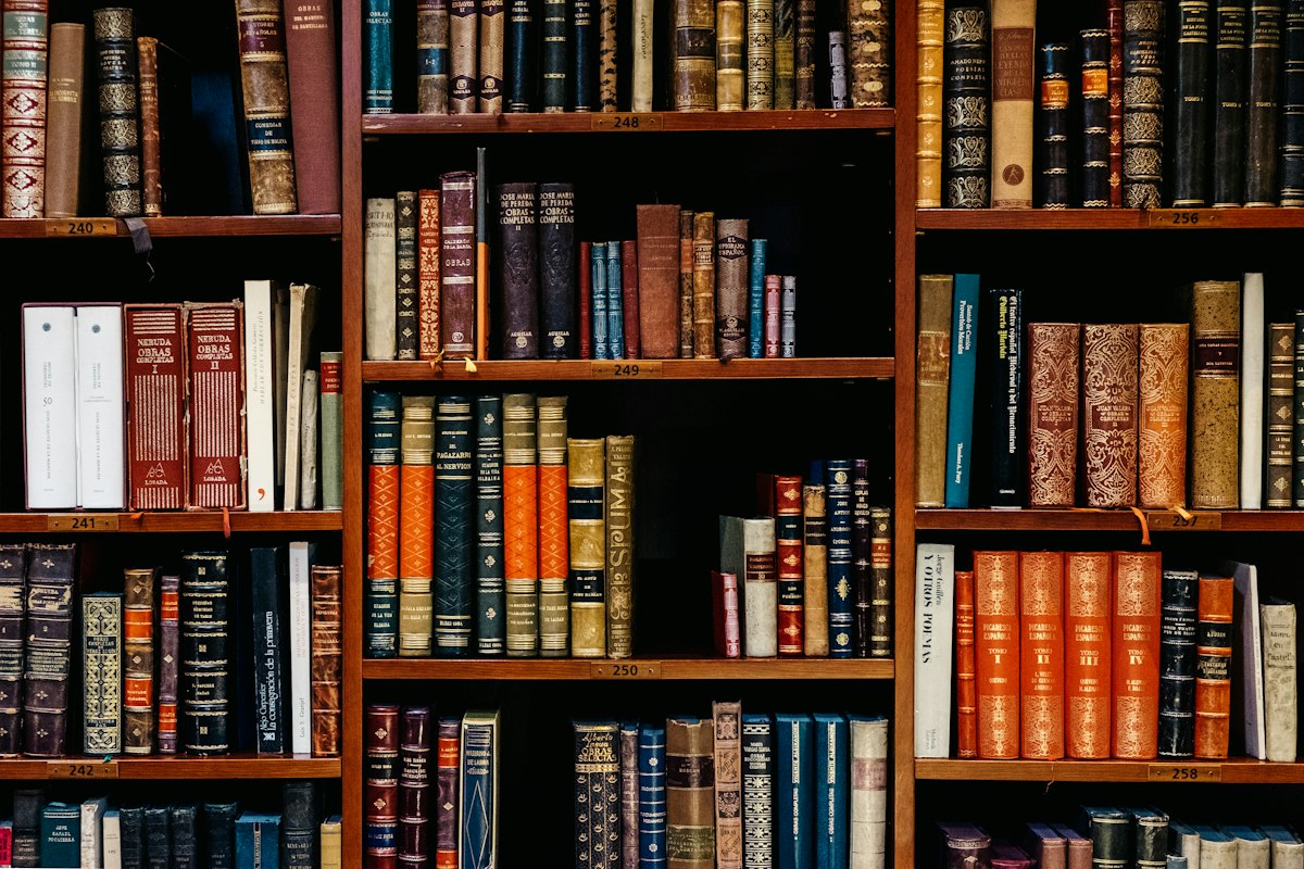 Bookstore library shelves